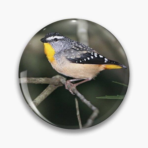 Item preview, Spotted Pardalote  designed and sold by Robert Elliott.
