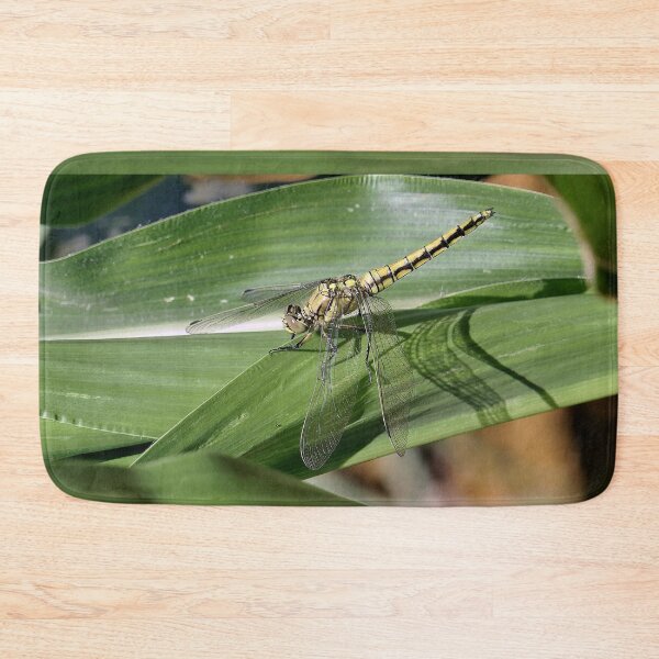 Item preview, 2584/  9  Libellules-Dragonflies " Un Repos Ton sur Ton ! "  finition 2020 par Okaio Créations - Olavia&Olao  designed and sold by o.okaïo.