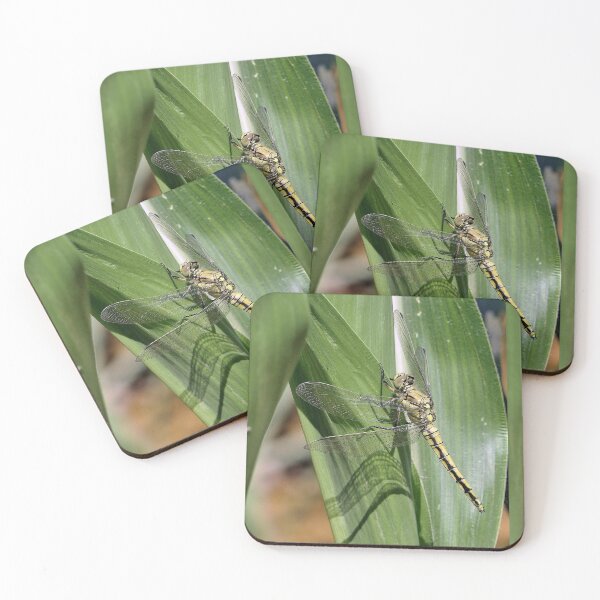 Item preview, 2584/  9  Libellules-Dragonflies " Un Repos Ton sur Ton ! "  finition 2020 par Okaio Créations - Olavia&Olao  designed and sold by o.okaïo.