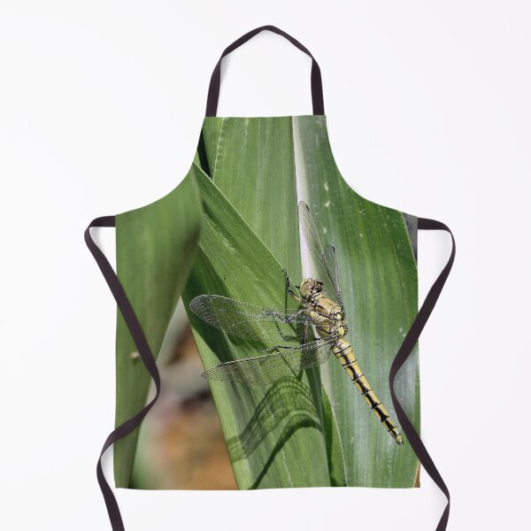Item preview, 2584/  9  Libellules-Dragonflies " Un Repos Ton sur Ton ! "  finition 2020 par Okaio Créations - Olavia&Olao  designed and sold by o.okaïo.