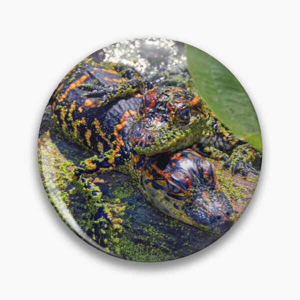 Item preview, Baby Gators designed and sold by Savannah Gibbs.