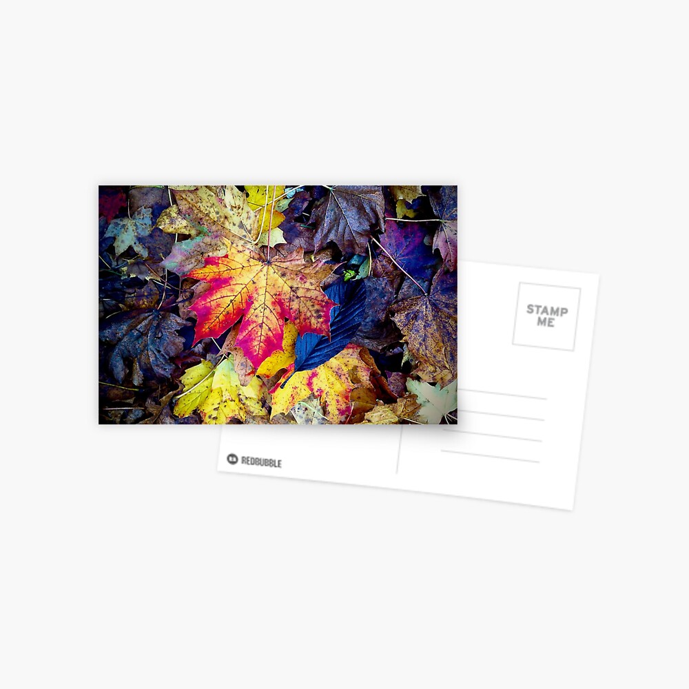 Item preview, Postcard designed and sold by McBay.