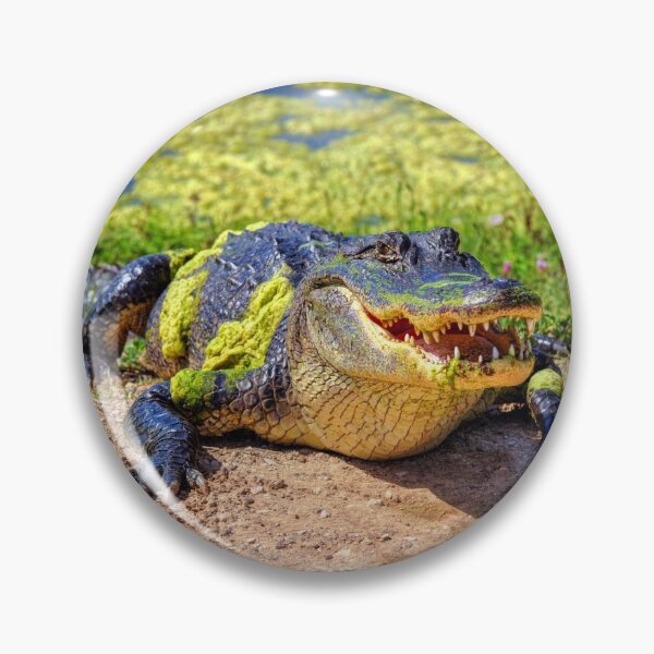 Item preview, Gator designed and sold by Savannah Gibbs.