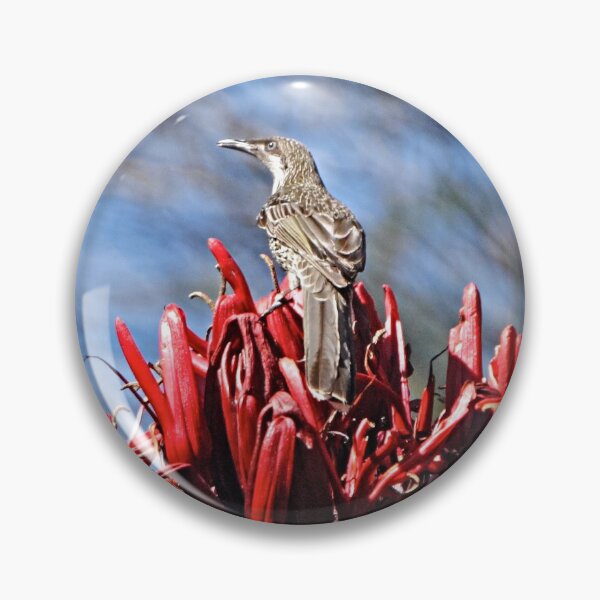 Item preview, Little Wattlebird designed and sold by Robert Elliott.