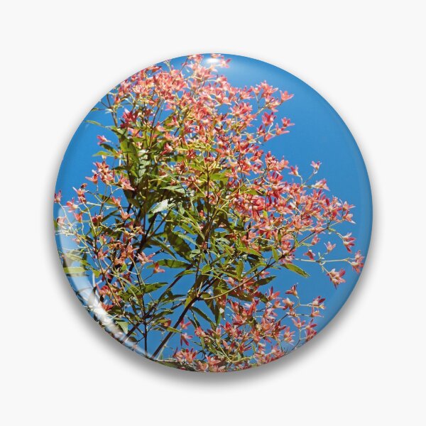 Item preview, Ceratopetalum gummiferum (New South Wales Christmas Bush) designed and sold by Robert Elliott.