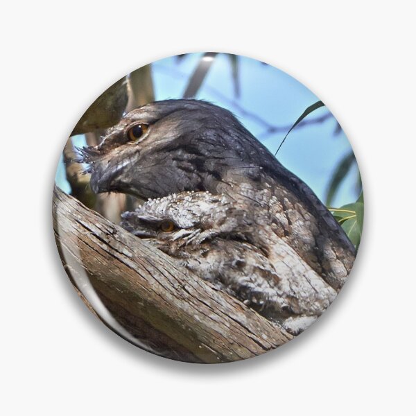 Item preview, Mother & Child ~ Tawney Frogmouth designed and sold by Robert Elliott.