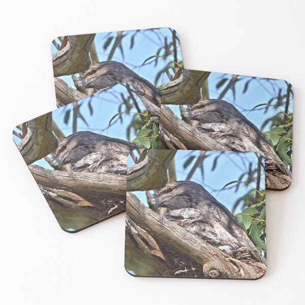 Item preview, Mother & Child ~ Tawney Frogmouth designed and sold by Robert Elliott.