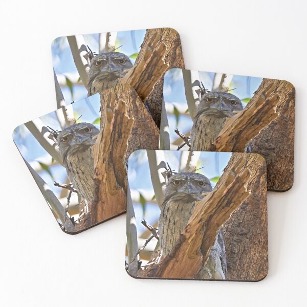Item preview, The Hypnotist ~ Tawney Frogmouth designed and sold by Robert Elliott.