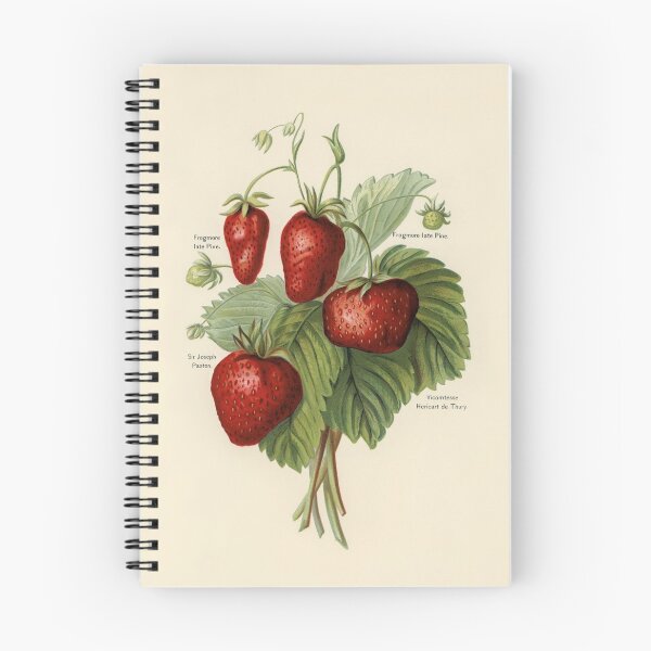 Item preview, vintage strawberries illustration designed and sold by earlgreylatte.