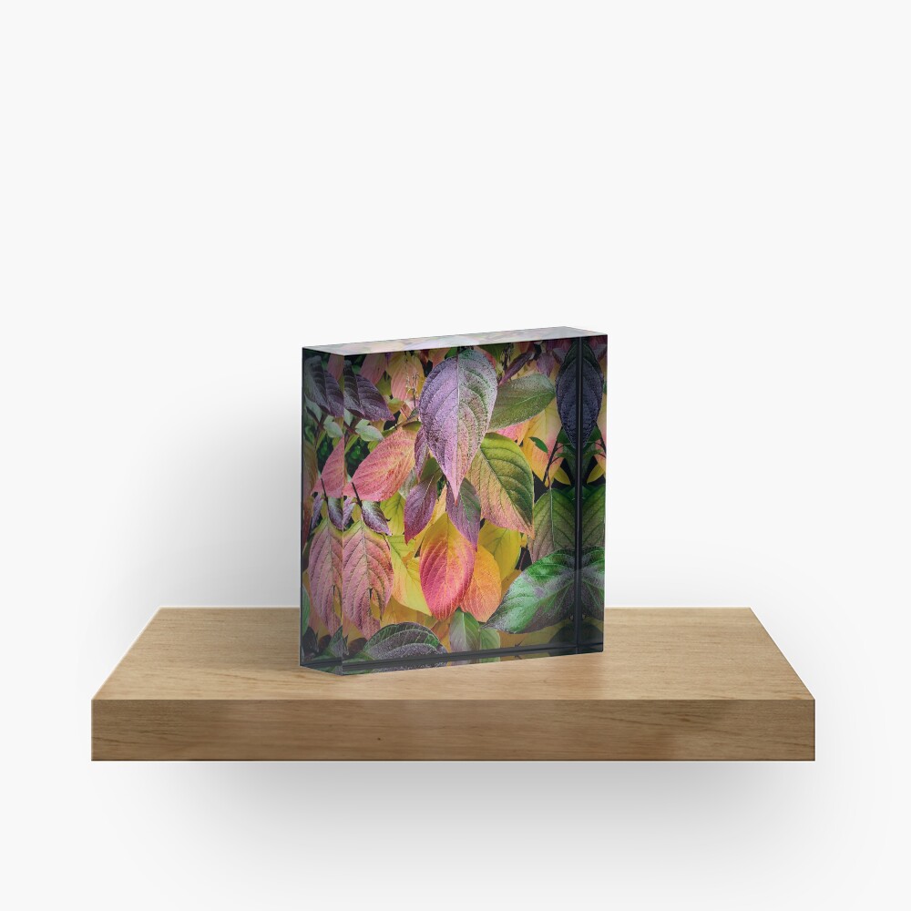 Item preview, Acrylic Block designed and sold by McBay.