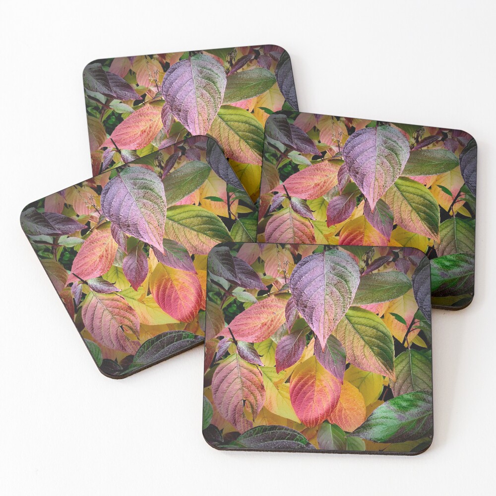 Item preview, Coasters (Set of 4) designed and sold by McBay.