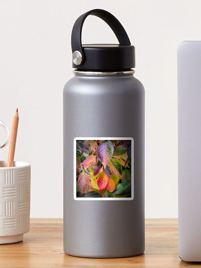 Thumbnail 1 of 3, Sticker, Colourful Autumn Leaves designed and sold by McBay.