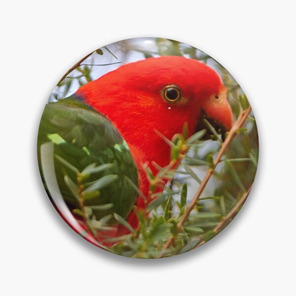 Item preview, King Parrot designed and sold by Robert Elliott.