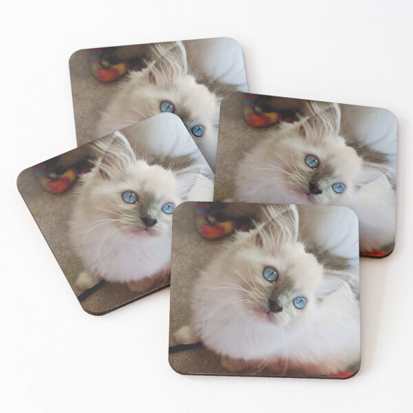 Item preview, Ragdoll kitten designed and sold by Fluffycat2020.