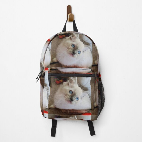 Item preview, Ragdoll kitten designed and sold by Fluffycat2020.