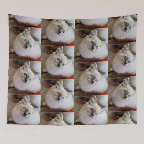Aperçu de l'œuvre Chaton Ragdoll créée et vendue par Fluffycat2020.