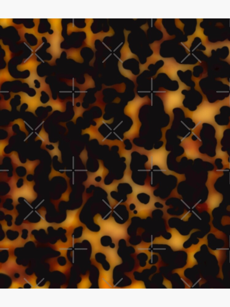 tortoiseshell tortoise shell 