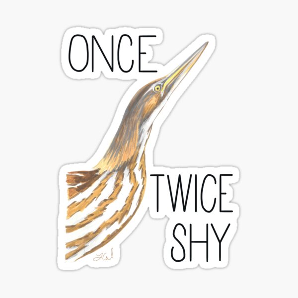 Item preview, Once Bittern, Twice Shy (American Bittern) designed and sold by LauraWolfArtist.