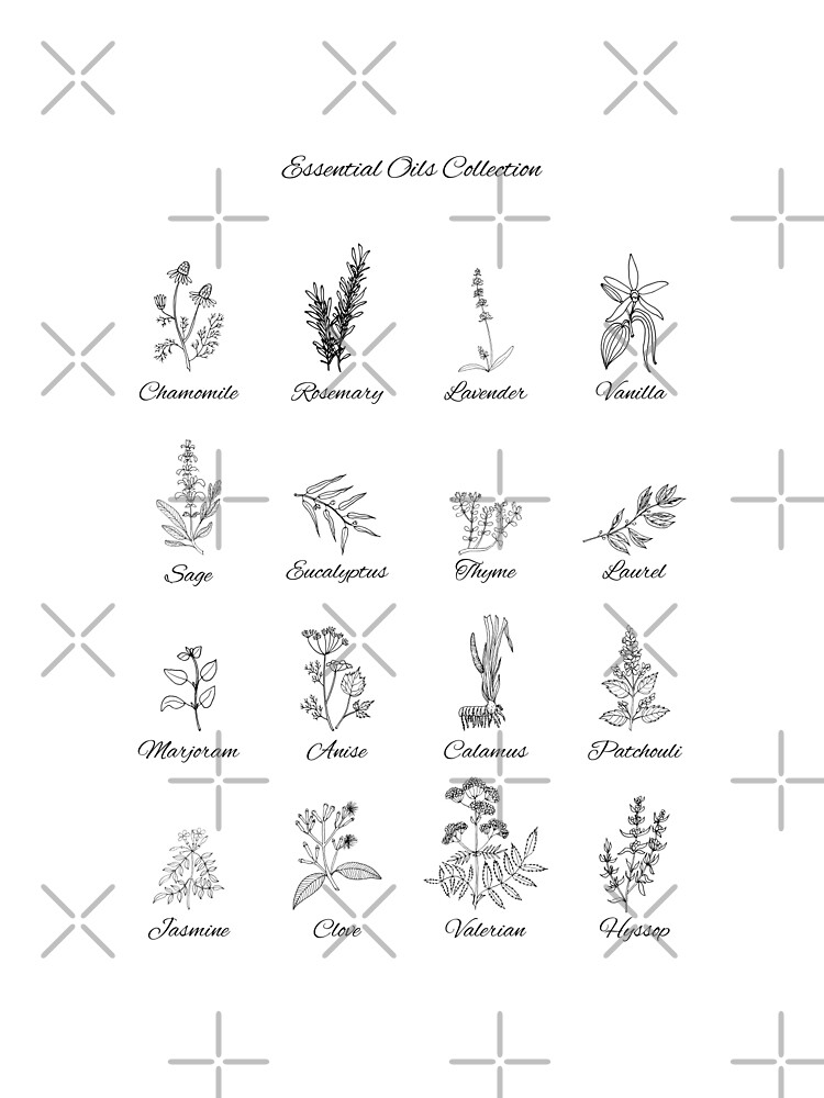 Essential Oil Collection Chart, Herbology chart, Essential oil herbs, ink  drawing, wall art, gift, Bw, rustic, farmhouse, download, print