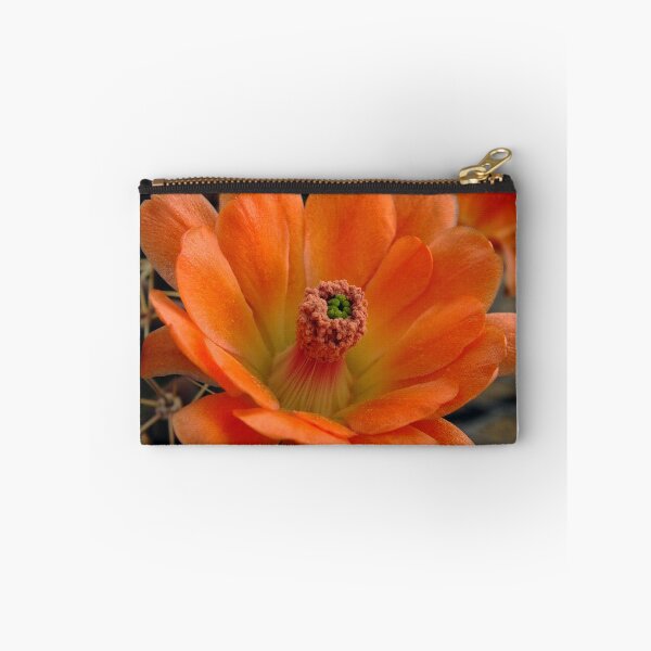 Item preview, Cactus Bloom designed and sold by Bill Morgenstern.