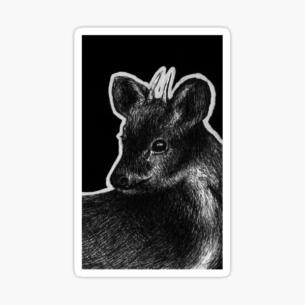 Item preview, Southern Pudu (Pudu puda) designed and sold by NoelleMBrooks.