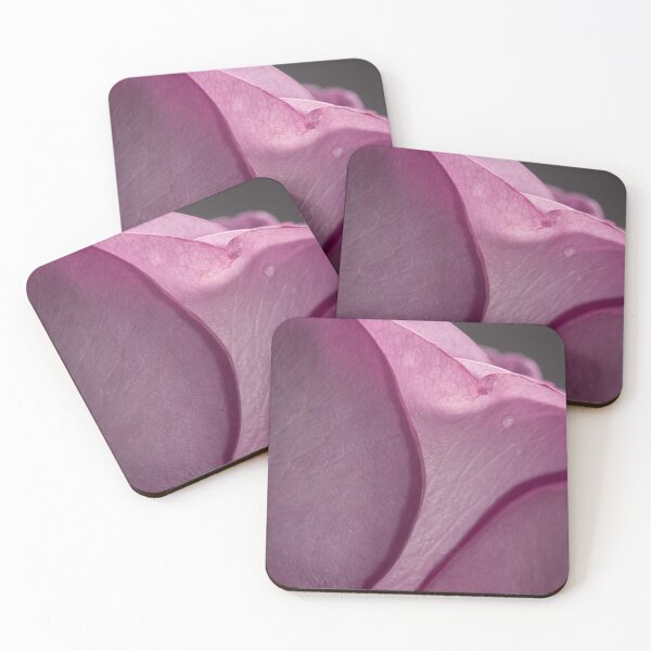 Item preview, Rose designed and sold by MarkFoleyPhoto.