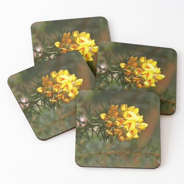 Item preview, Phyllota phylicoides designed and sold by Robert Elliott.