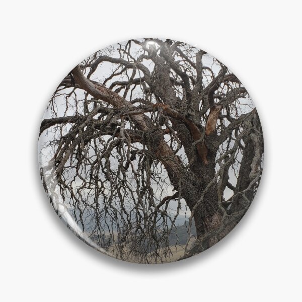 Item preview, I Like Trees designed and sold by JohnnyPhoto.