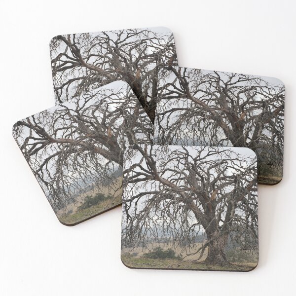 Item preview, I Like Trees designed and sold by JohnnyPhoto.