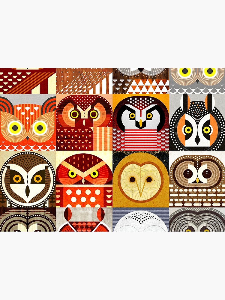 North American Owls by scottpartridge