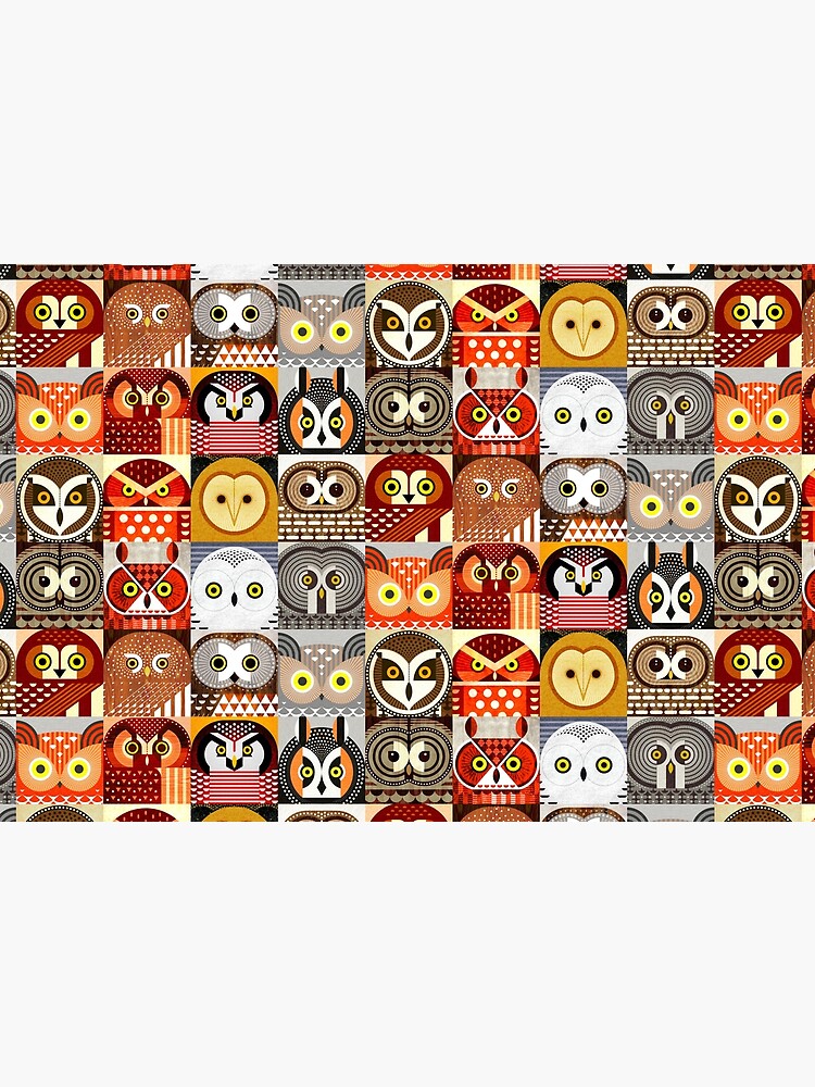 North American Owls by scottpartridge