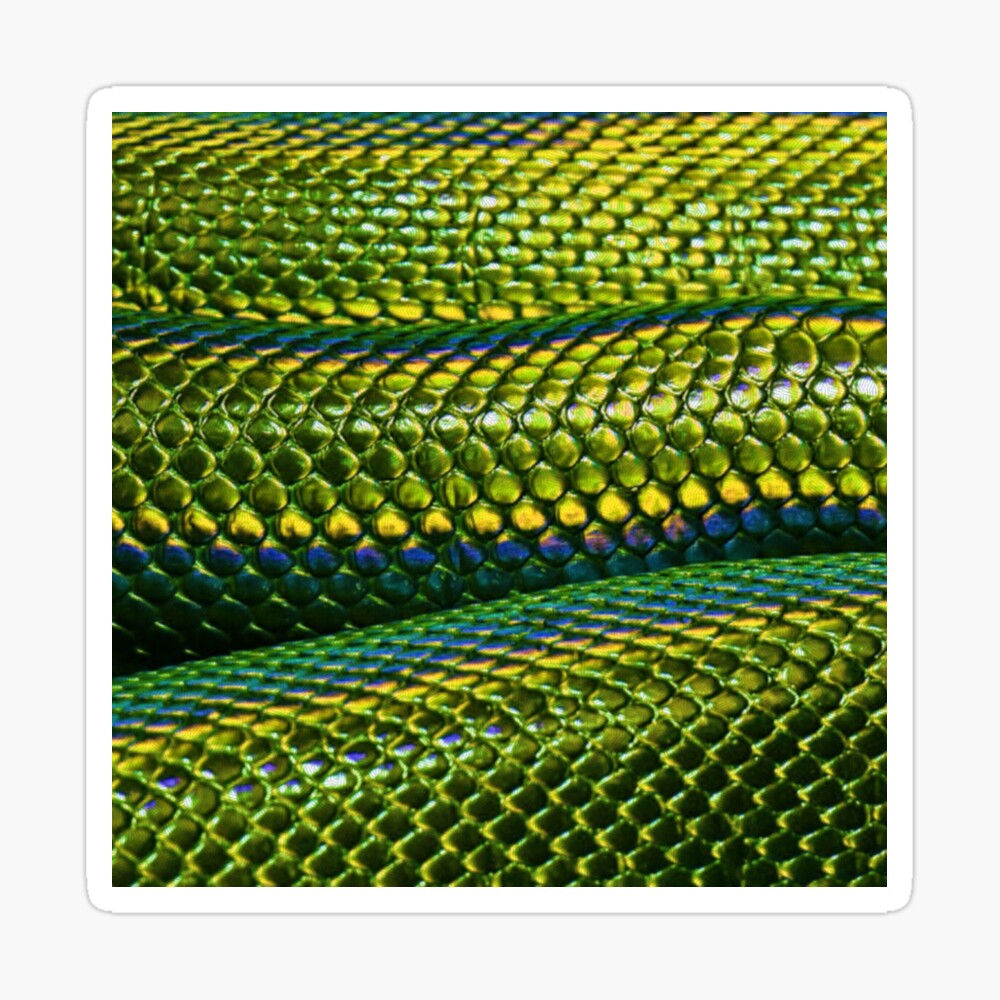 Green Reptile Scales Texture Free Stock Photo - Public Domain Pictures