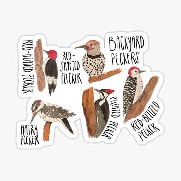 Item preview, Backyard Peckers designed and sold by Jordi-lister.