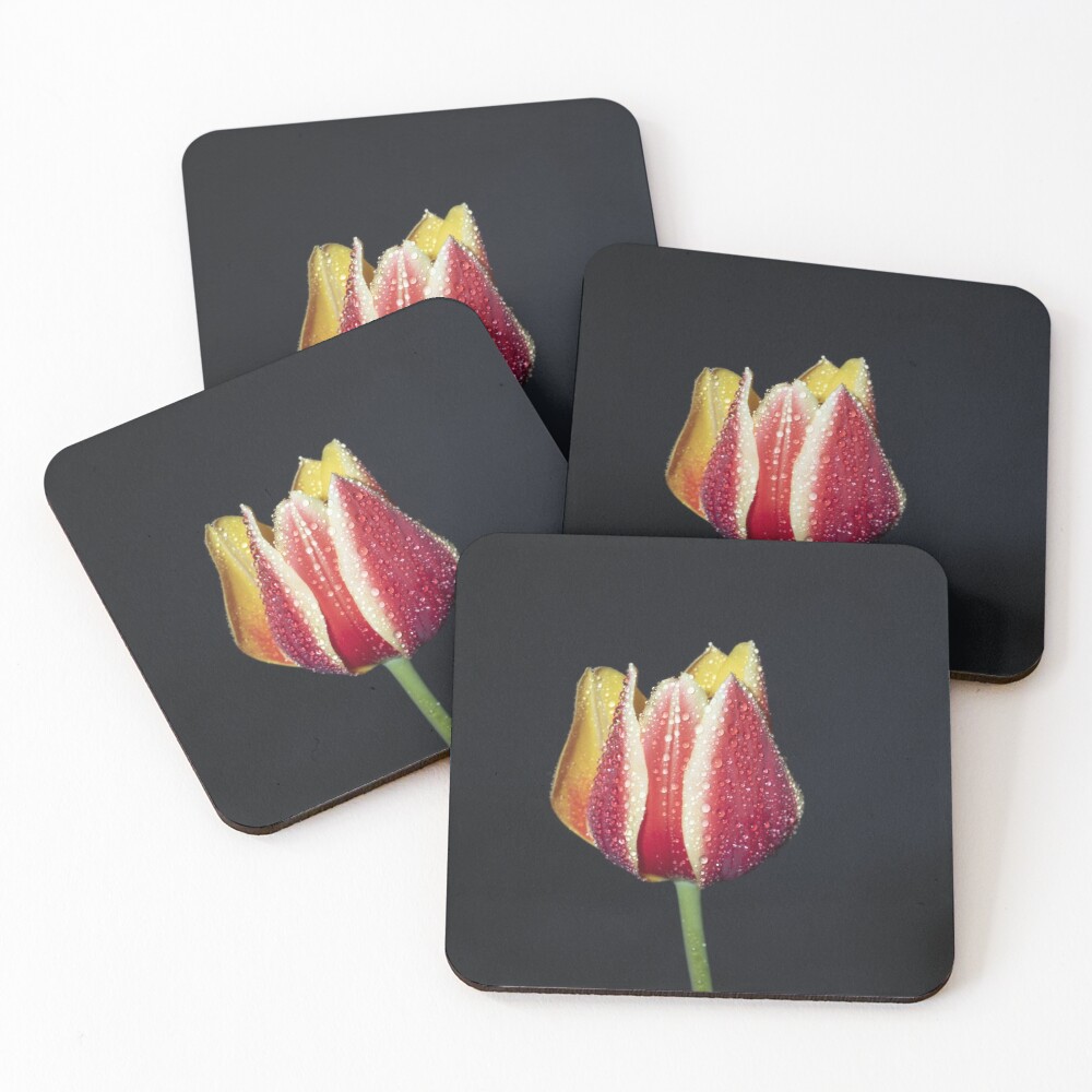 Item preview, Coasters (Set of 4) designed and sold by MarkFoleyPhoto.