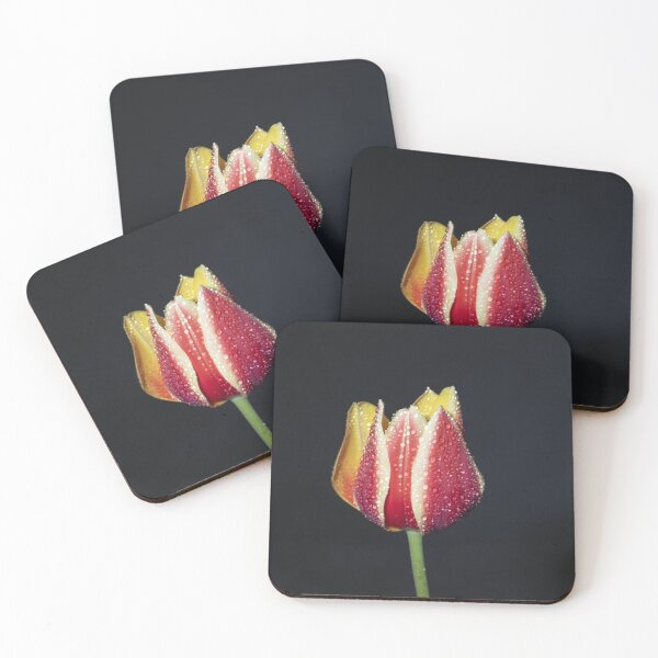 Item preview, Tulip designed and sold by MarkFoleyPhoto.