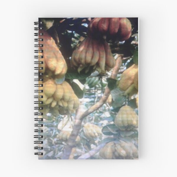 Item preview, Fruitful finger tree. designed and sold by Lan thi Nguyen.