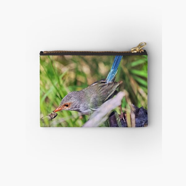 Item preview, Female splendid fairywren with a cicada in mouth designed and sold by hendrikspix.