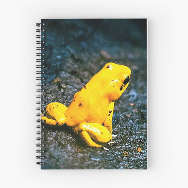 Item preview, Golden Dart Frog designed and sold by ArtByJAL.