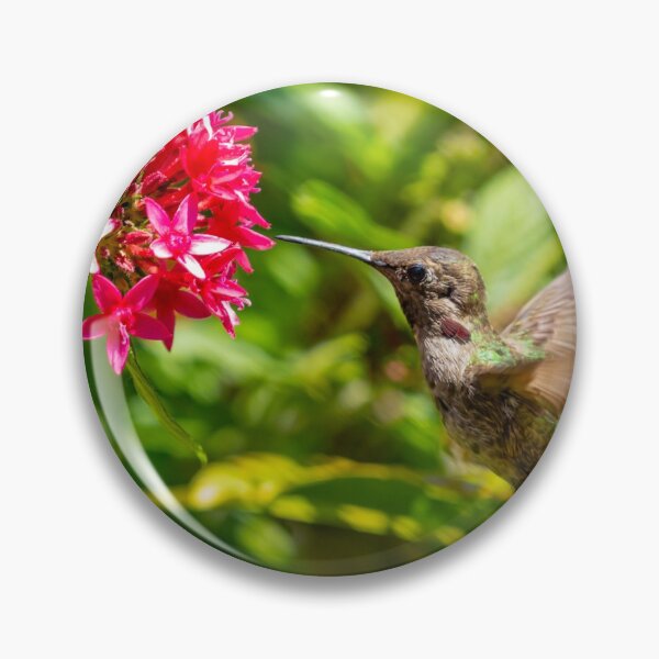 Item preview, Hummingbirds Love Pentas designed and sold by PsychoAlien.com.