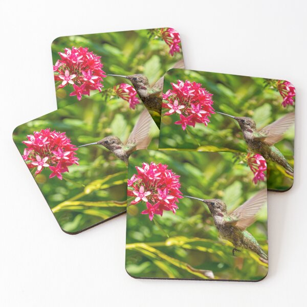Item preview, Hummingbirds Love Pentas designed and sold by PsychoAlien.com.