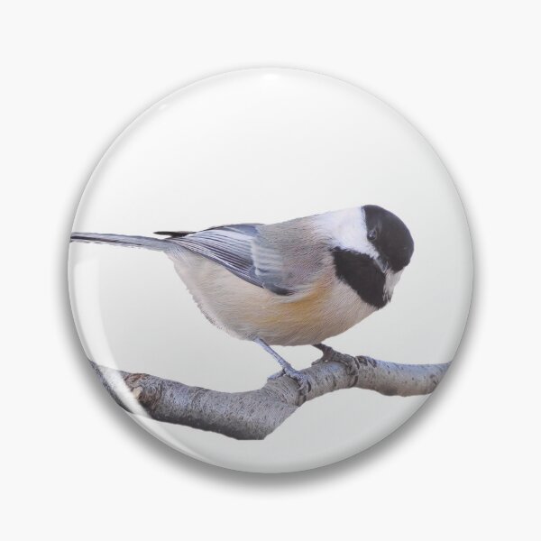 Item preview, Cute Black Capped Chickadee designed and sold by KathyGail.