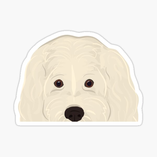 Item preview, Curious White Goldendoodle / Labradoodle  designed and sold by kherrin.