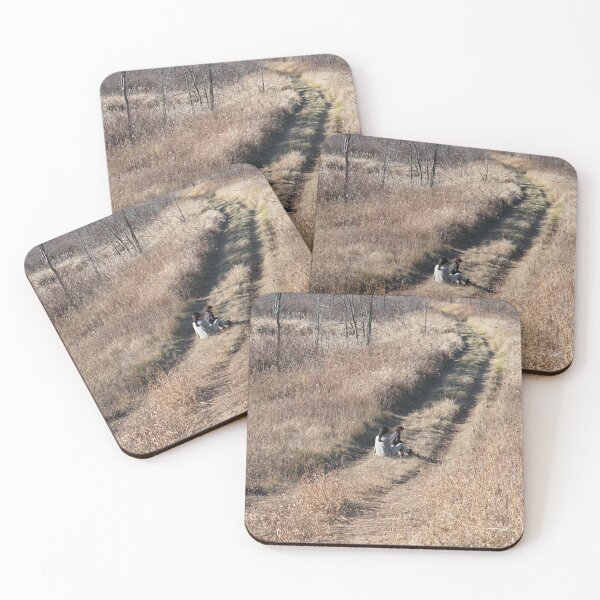 Item preview, take the long way home designed and sold by distracted.