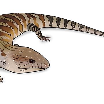 Artwork thumbnail, Northern Blue Tongue Skink by Reptiles Abroad