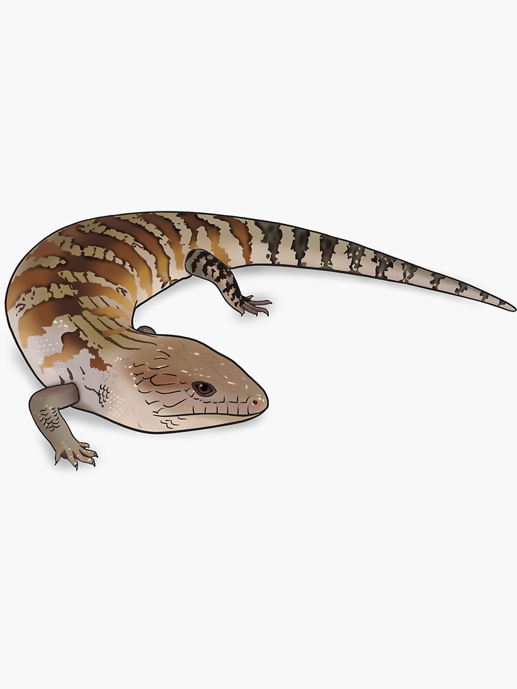 Thumbnail 3 of 3, Sticker, Northern Blue Tongue Skink designed and sold by Sami-jaz.