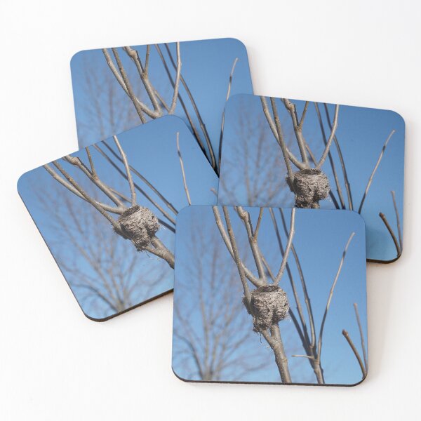 Item preview, empty nest designed and sold by distracted.