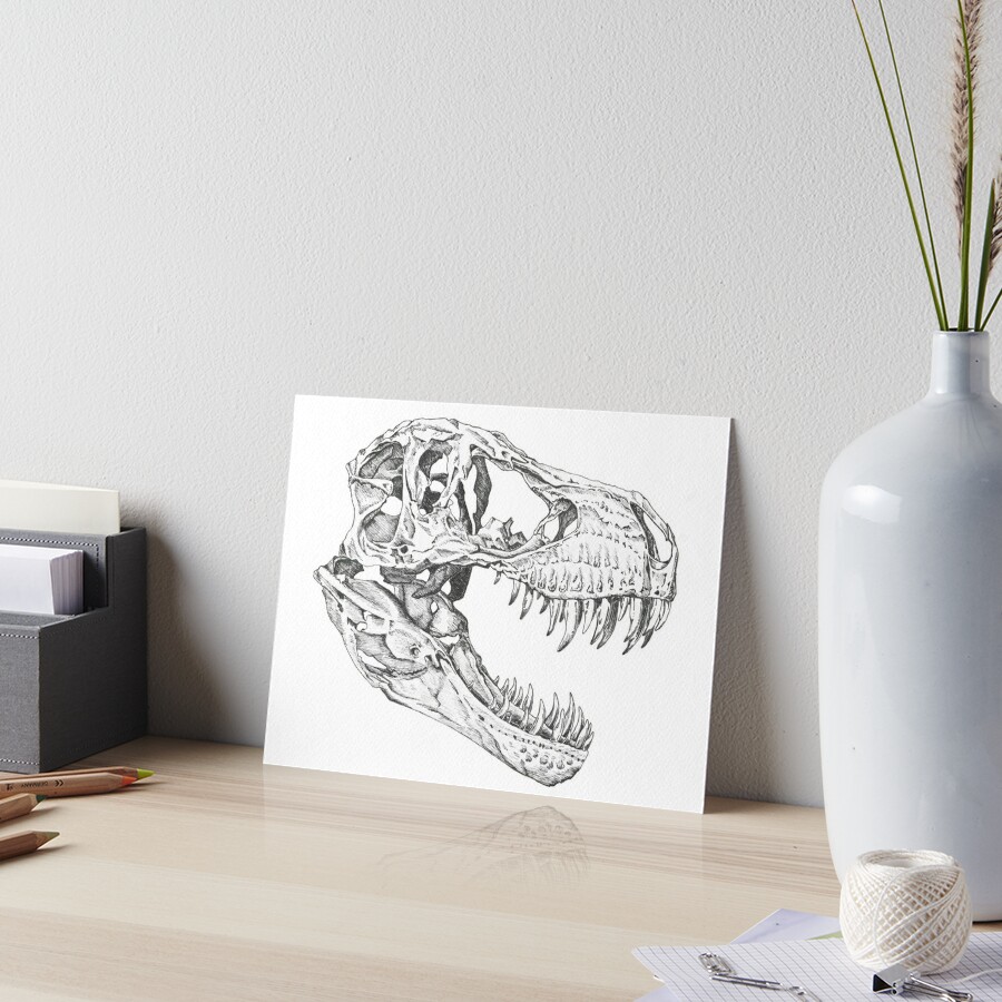 t rex bones drawing - Google Search  Dinosaur drawing, Skull drawing,  Skeleton drawings