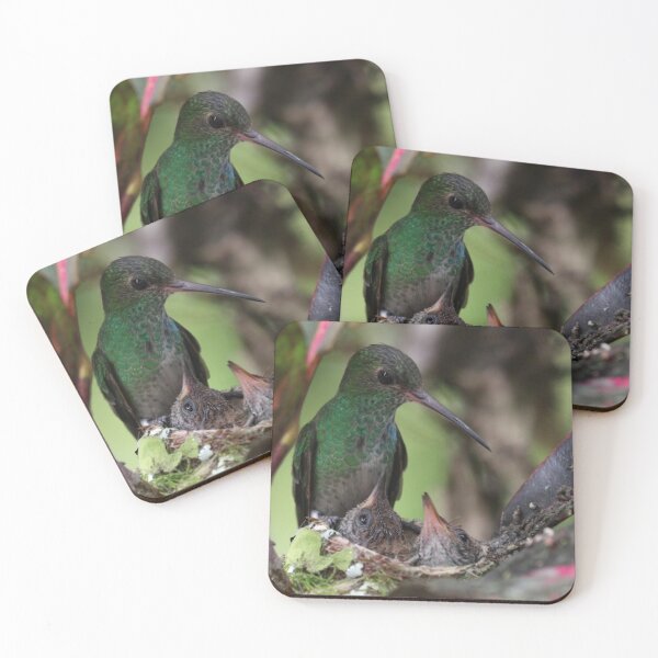 Item preview, Hummingbird mother look after her babies.  designed and sold by Lan thi Nguyen.