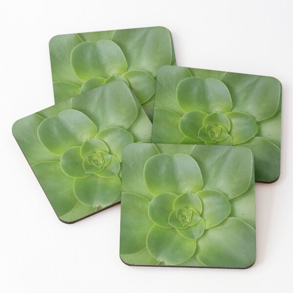 Item preview, Succulent  designed and sold by EmmaLilStudio.