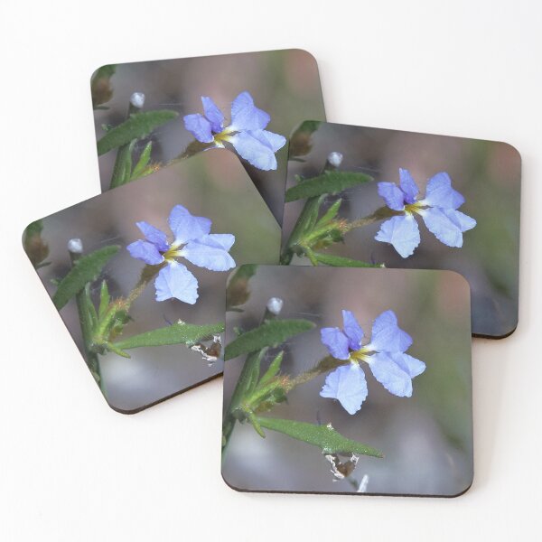 Item preview, Dampiera stricta (Blue Dampiera) designed and sold by Robert Elliott.